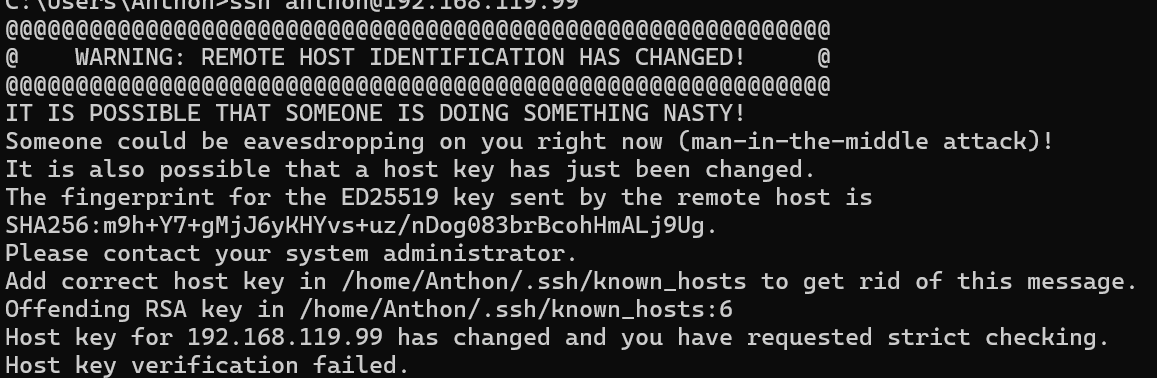 image-20251209094948550