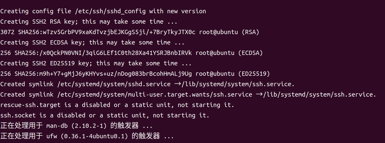 image-20251010134134256