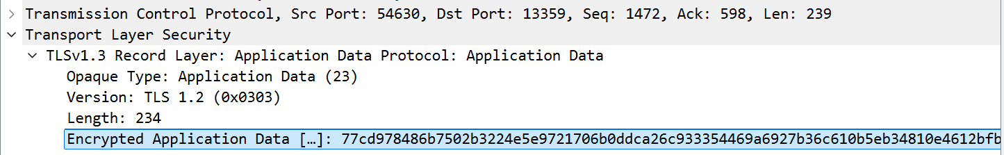 image-20251210200419301