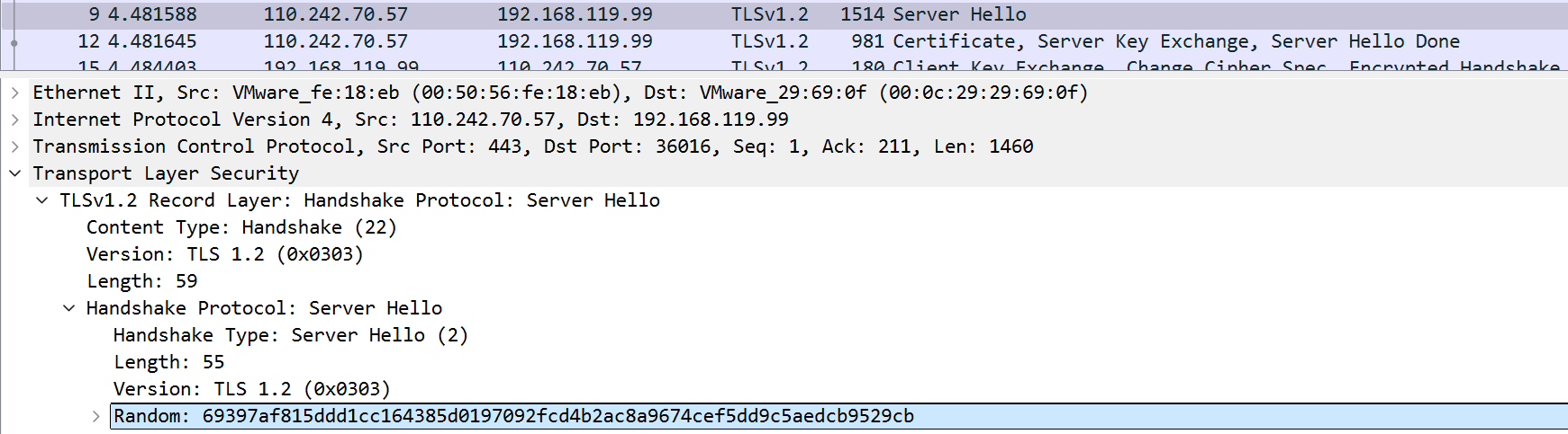 image-20251210220149994