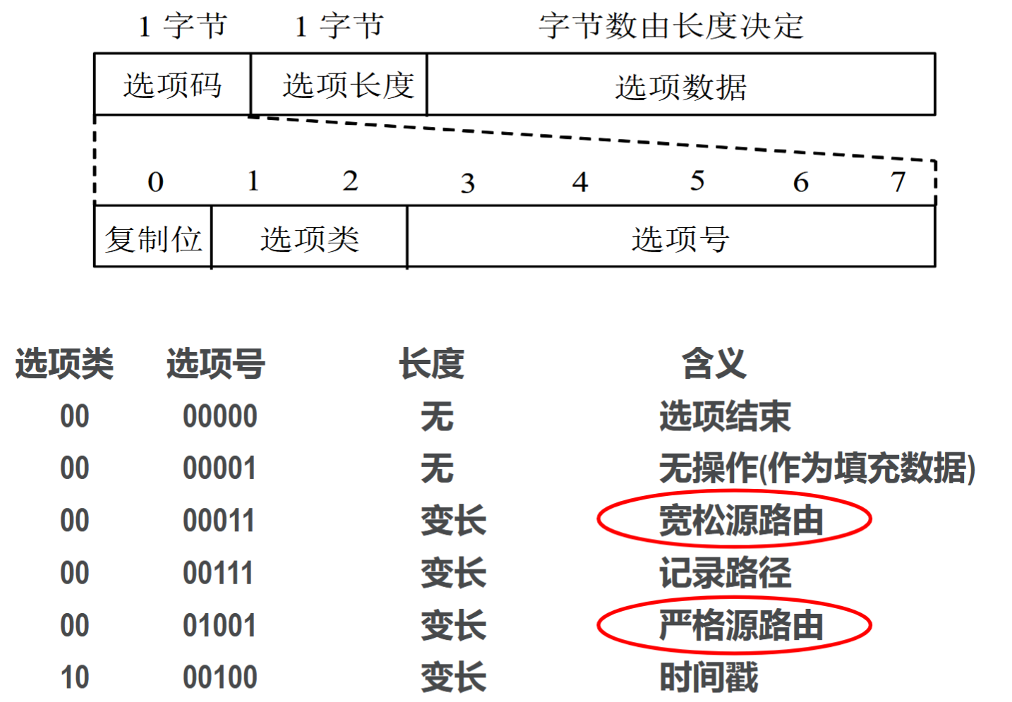 image-20251223114638346