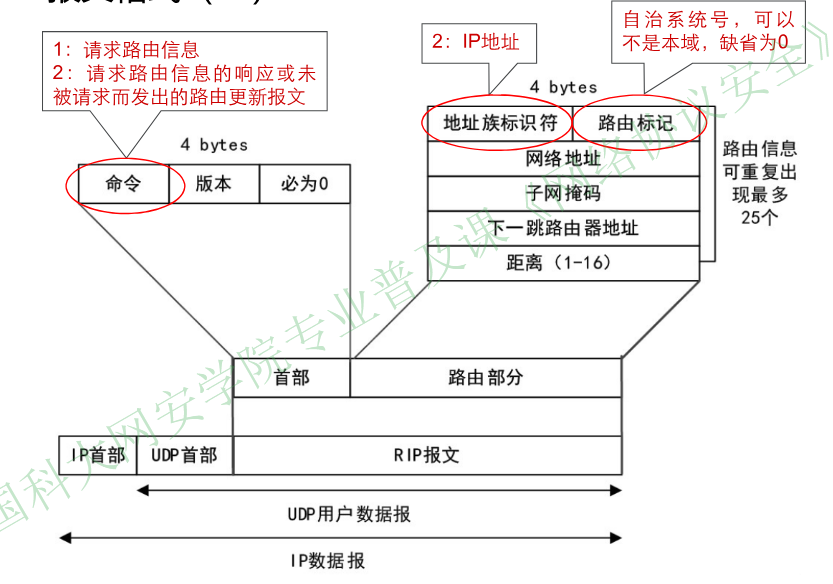 image-20251224163107171