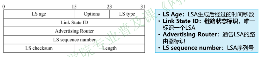 image-20251224201134384