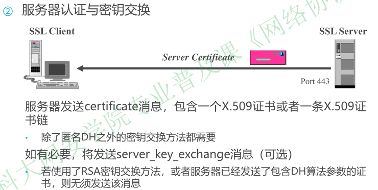 image-20251225091355985