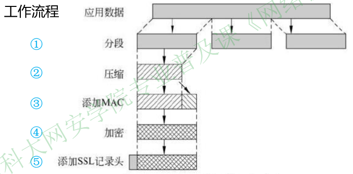 image-20251225091959341