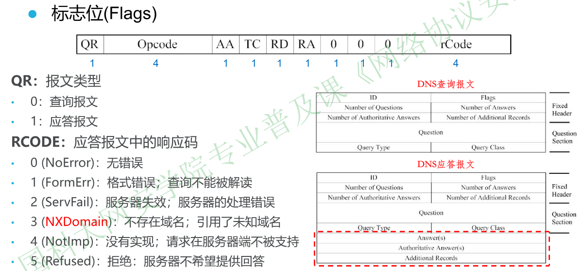 image-20251225100126946