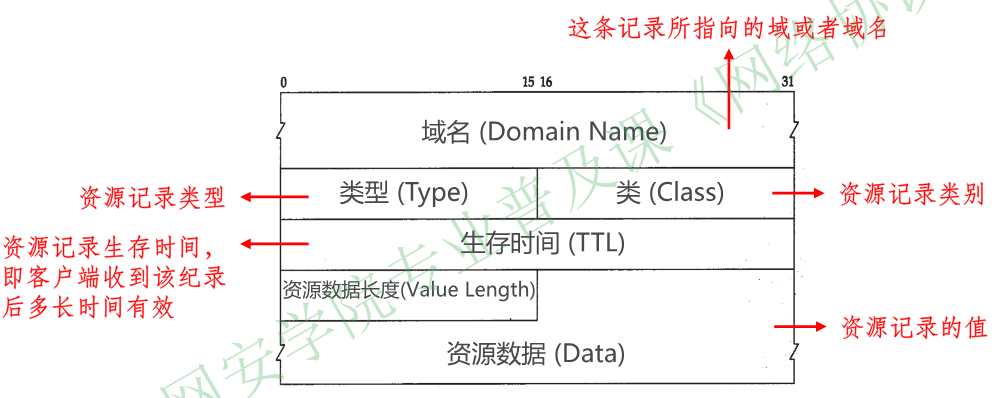 image-20251225100257956