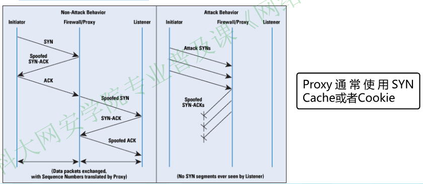 image-20251225082854040
