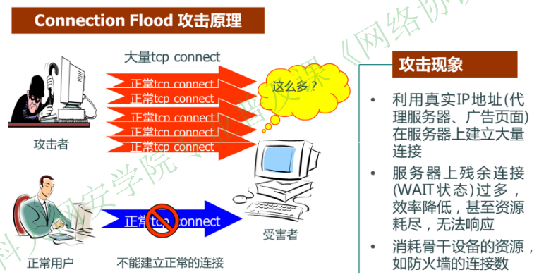 image-20251225083303512