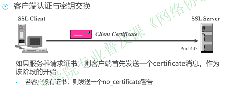 image-20251225091533743