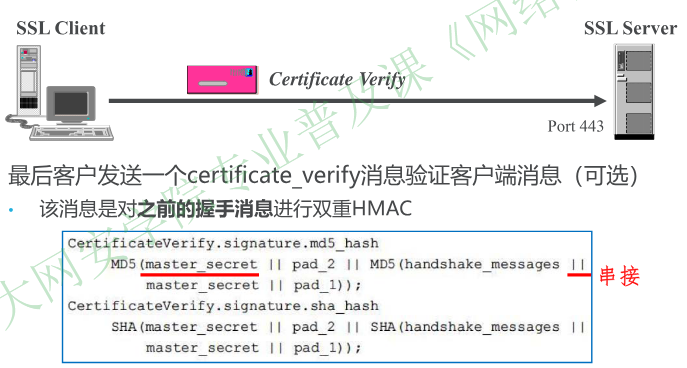 image-20251225091552832