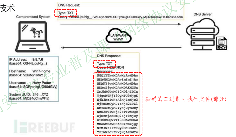 image-20251225102853617